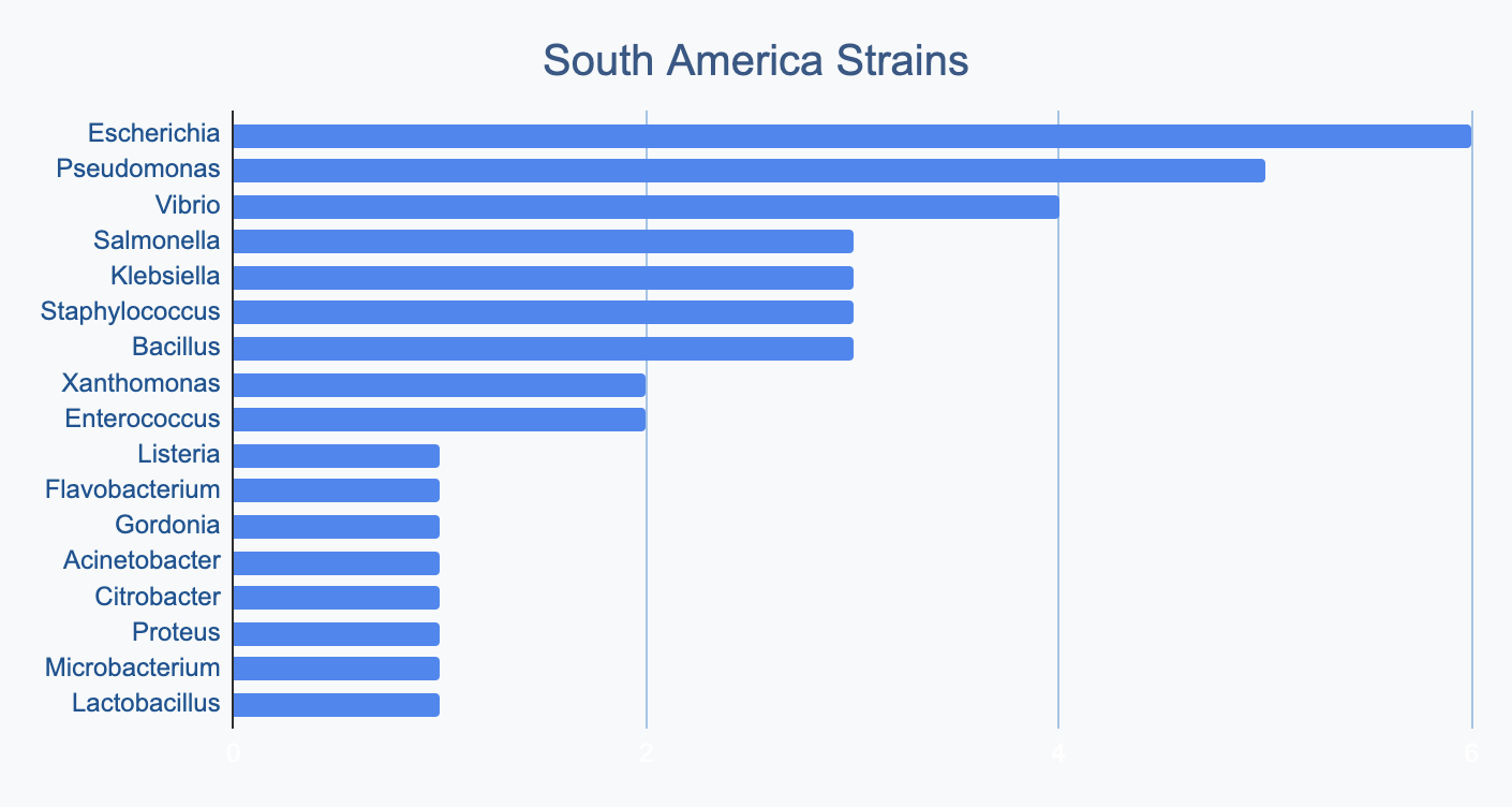 South America Strains