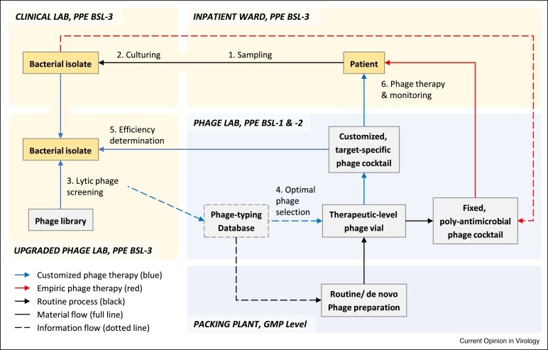 The compartmentalization of workflow of phage therapy based on different levels of personal protective equipment