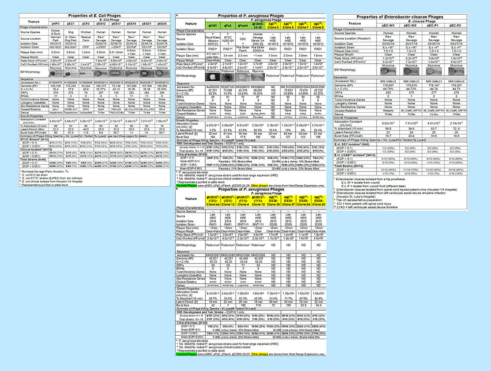 The full image of the phage characterization charts side by side