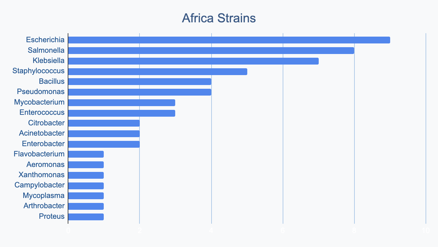 Africa Strains
