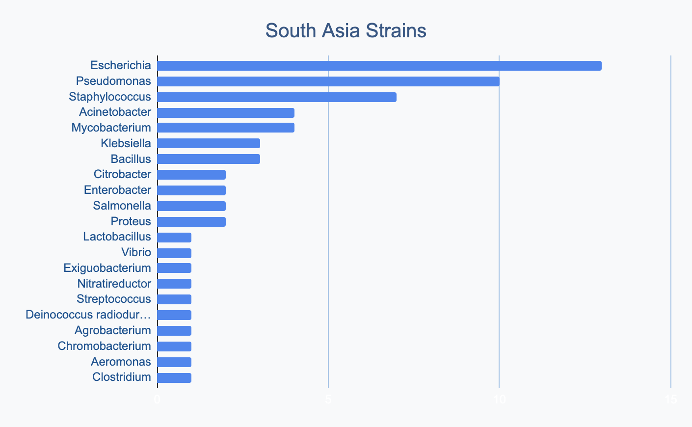 South Asia Strains